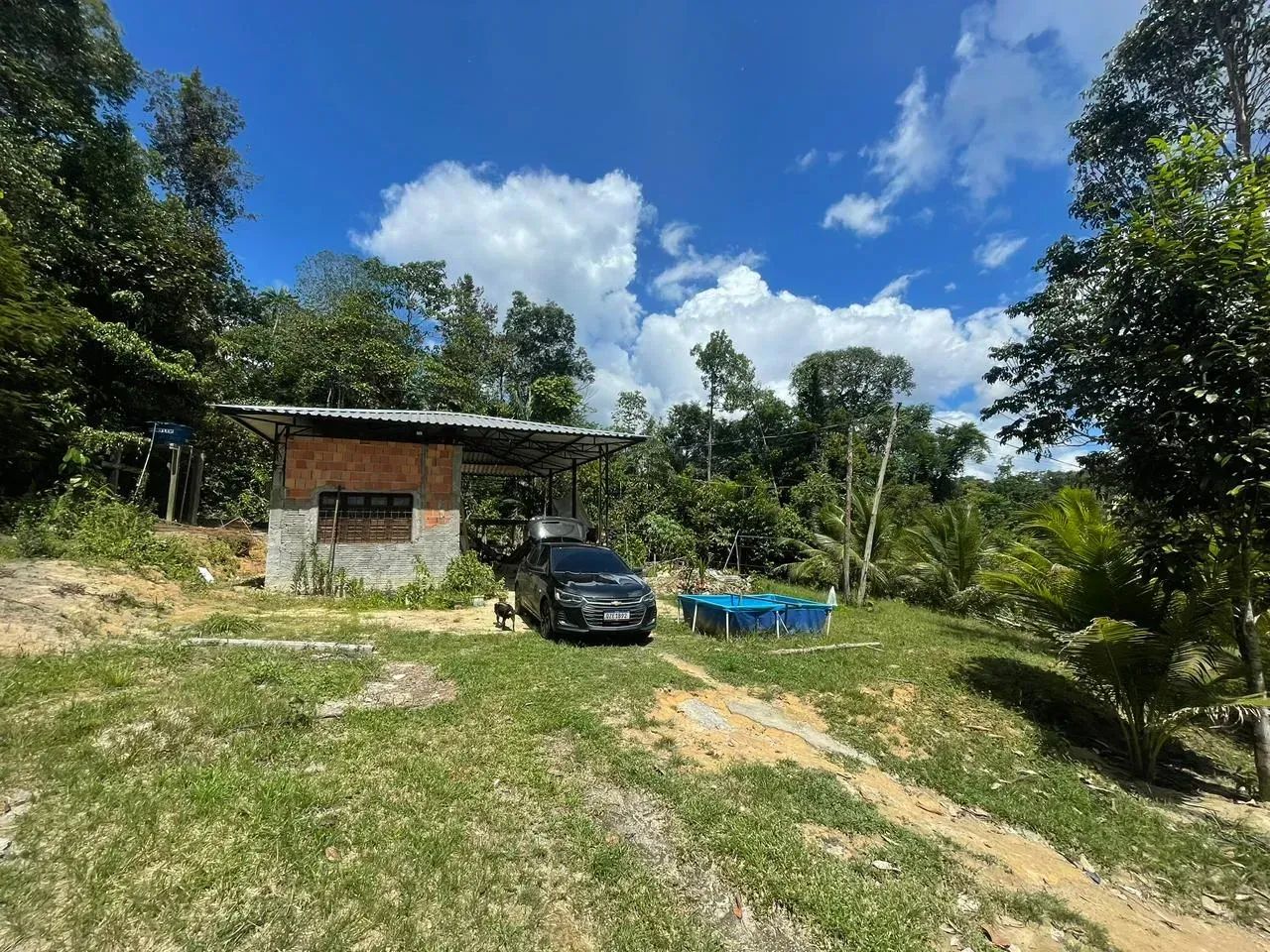 Sítio no Pau Rosa, excelente oportunidade!! - Foto 5