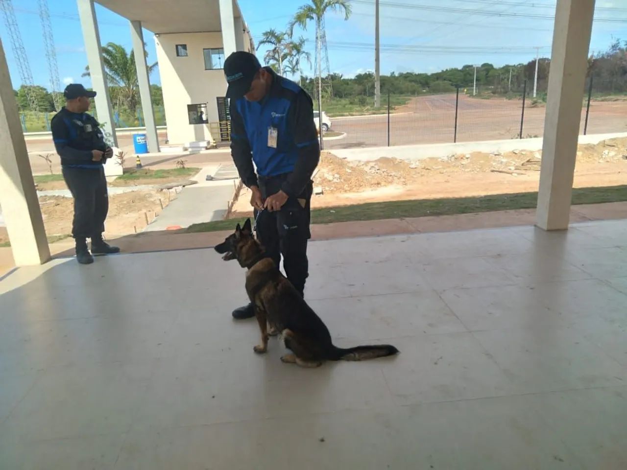 Cães de guarda  - Foto 2