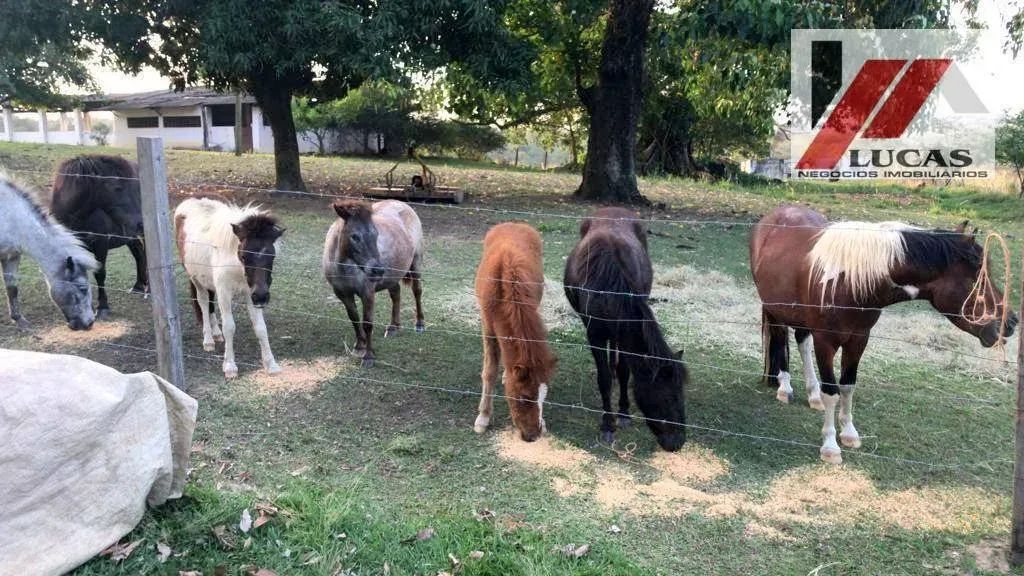 Fazenda à venda em Campinas - Foto 3