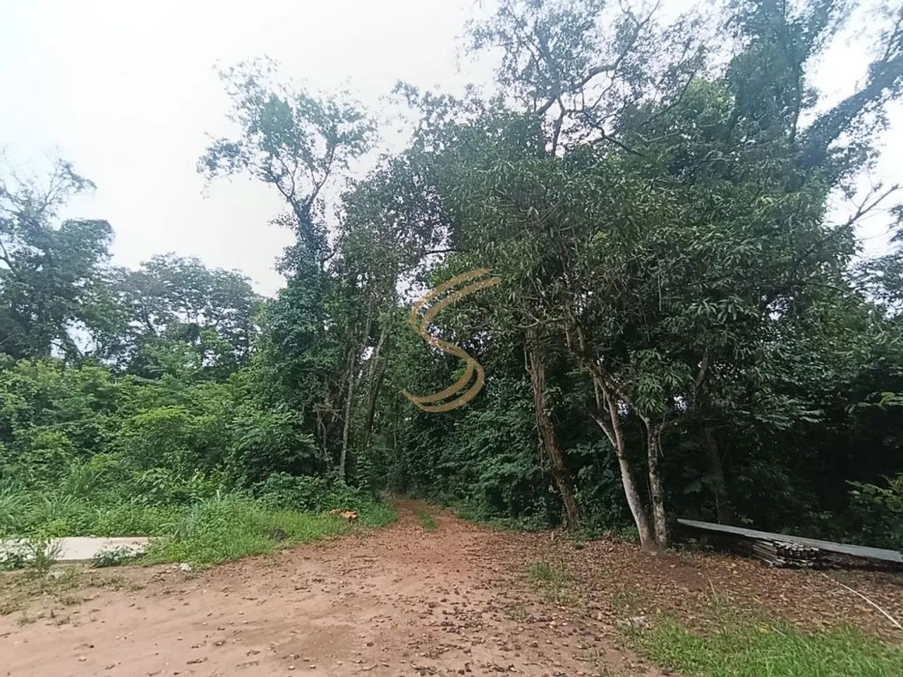 Oportunidade imperdível: sítio com alto potencial, próximo a Usina de Açucar - Foto 4