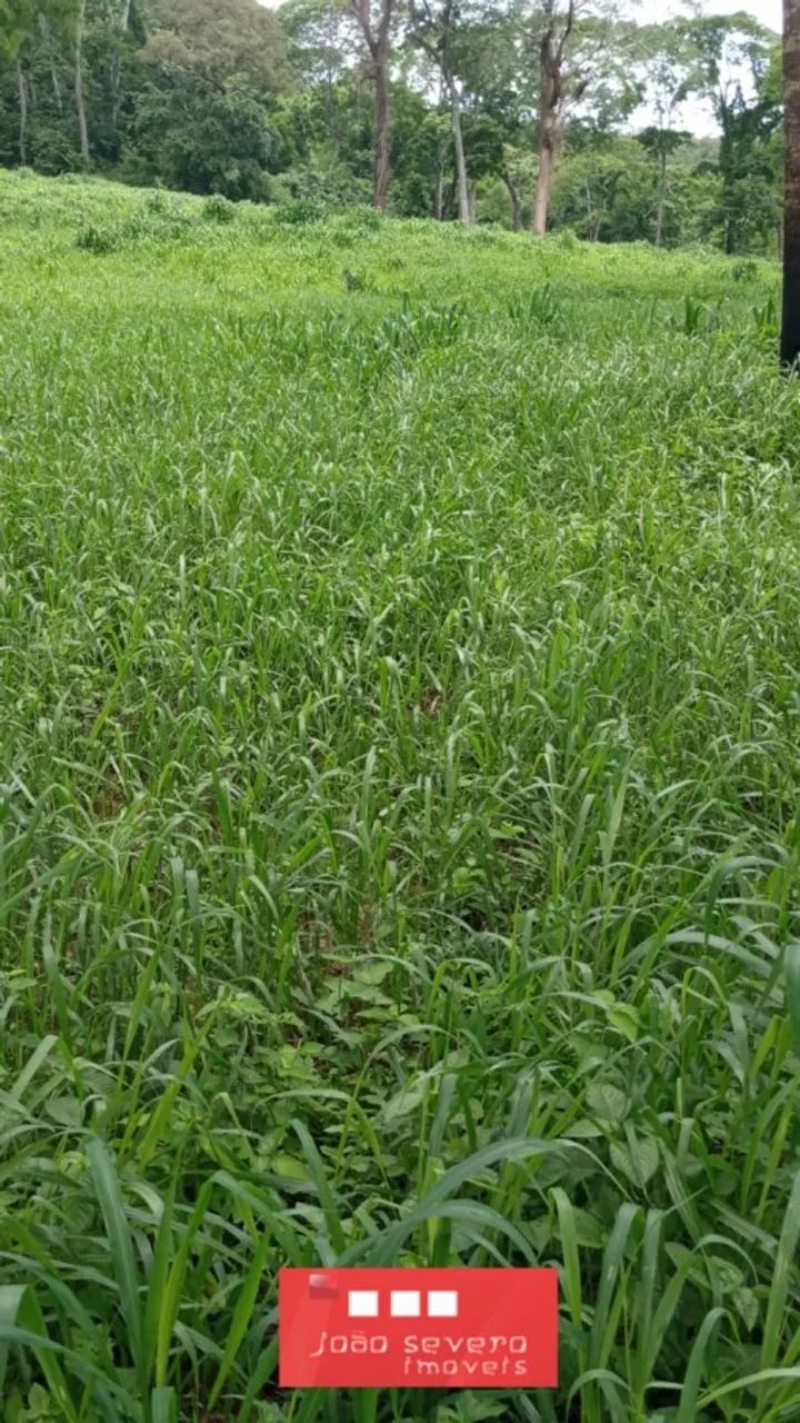 Fazenda para Venda em Campinápolis - Foto 4