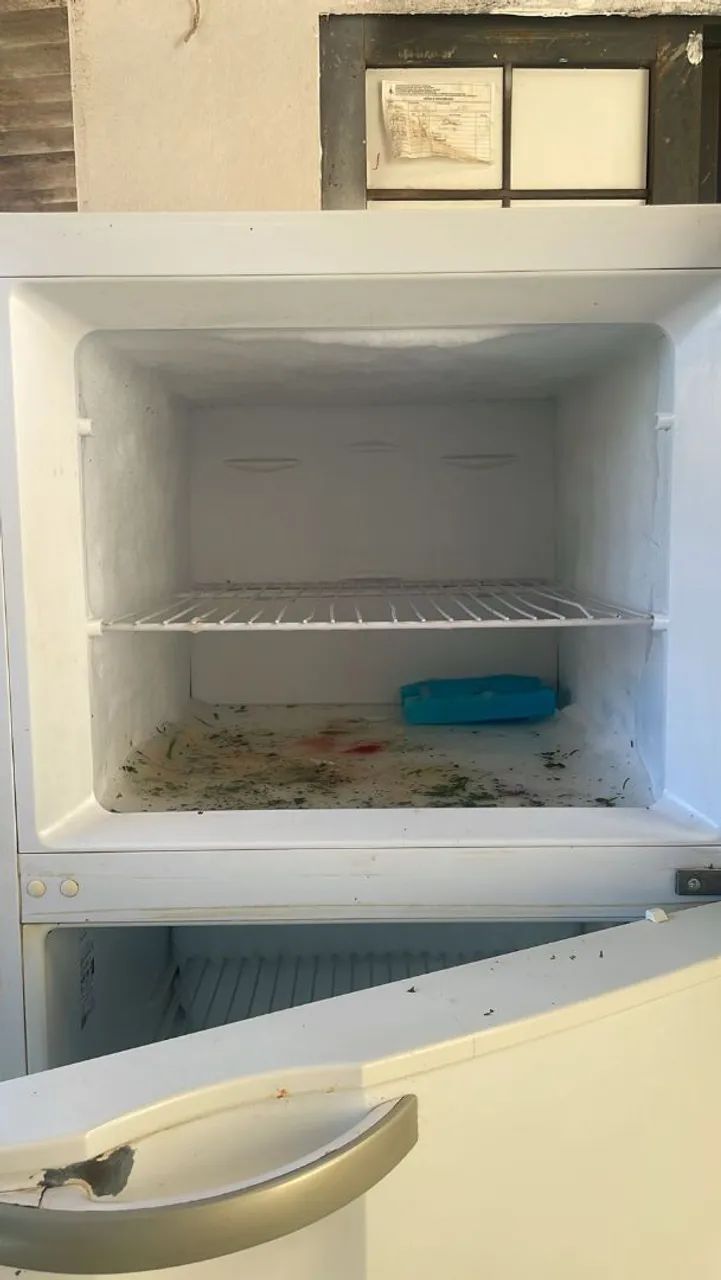 Vendo geladeira Eletrolux  - Foto 4