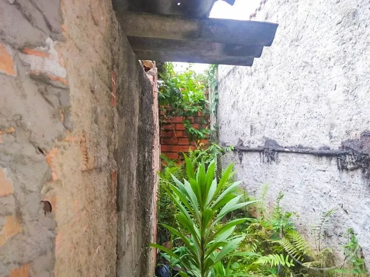 Terreno à venda no Colônia - Foto 3