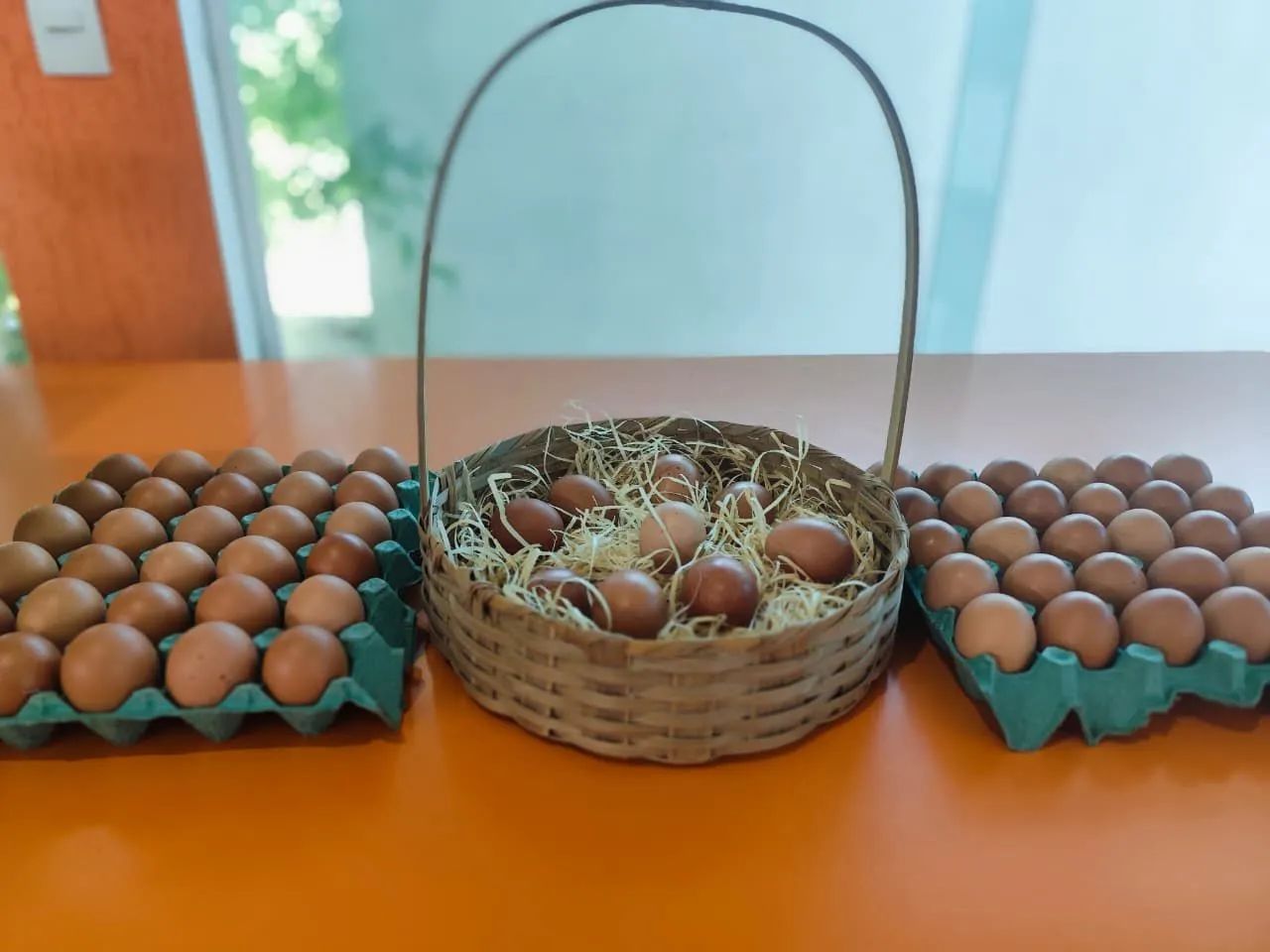 Ovos Atacado e Varejo  - Foto 4