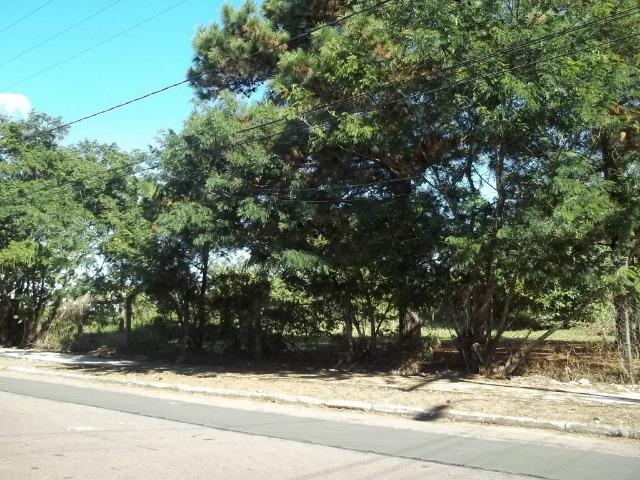 Venha conferir!!! Excelente oportunidade para investimento! - Foto 2