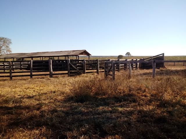 Fazenda de 1940 hectares, ha 60 km de Cuiabá, na região do manso - Foto 7