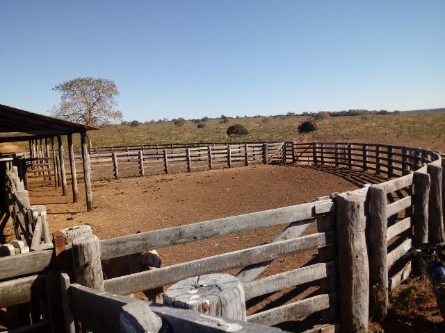 Fazenda de 1940 hectares, ha 60 km de Cuiabá, na região do manso - Foto 5