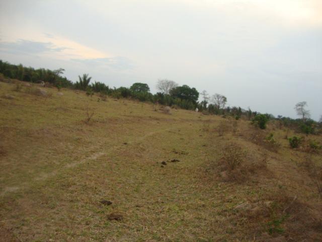 125 Alqueires. Pecuária Região Tangará Barra do Bugres-MT - Foto 2