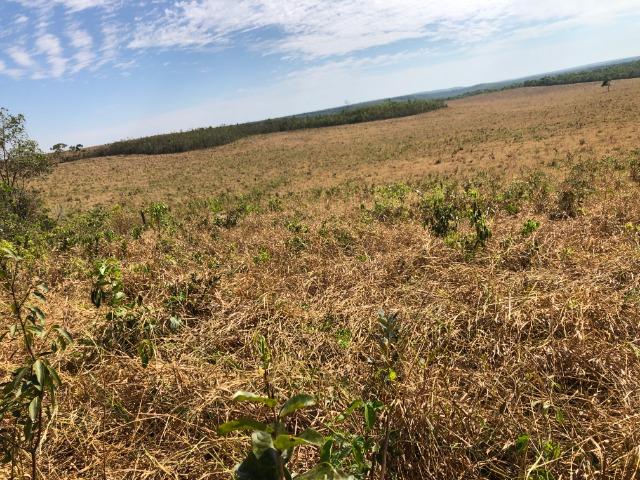 12 anos pagar, 1380 Hectares, 1000 Hectares pastagens, aberta, Limpa, Pecuária Comodoro-MT - Foto 4