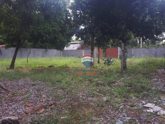 Re/max chave de ouro vende terreno próximo ao centro de arraial d? ajuda. localização priv - Foto 8