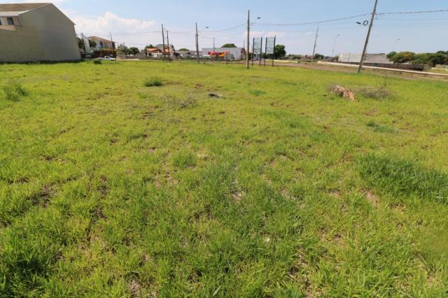 Terreno para alugar em Jardim colina verde, Maringa cod:L51431 - Foto 15