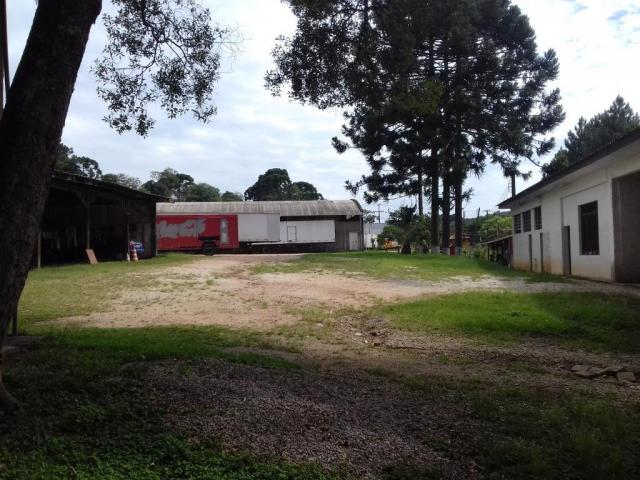 Terreno à venda, 54450 m² por r$ 12.000.000,00 - tatuquara - curitiba/pr - Foto 11
