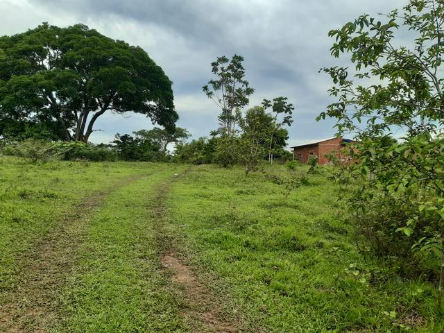 Terreno bem localizado - Foto 4