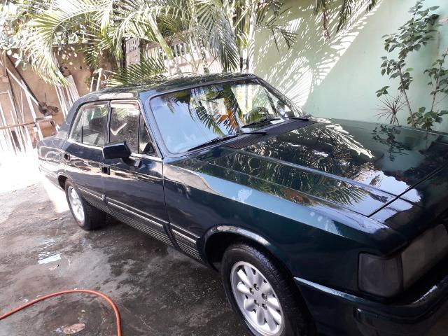 Opala diplomata - Foto 15