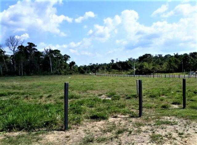 Vendo Fazenda em Novo Airão - Foto 12
