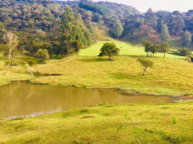 Sítios/Chácaras/Terrenos/Francisco Krtiscka Corretor De imóveis - Foto 2