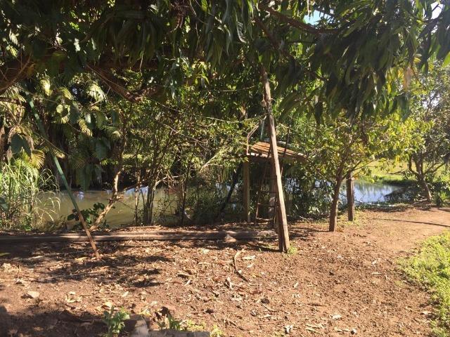 Chácara Setor Eli Forte - Goiânia-Oportunidade - Foto 7