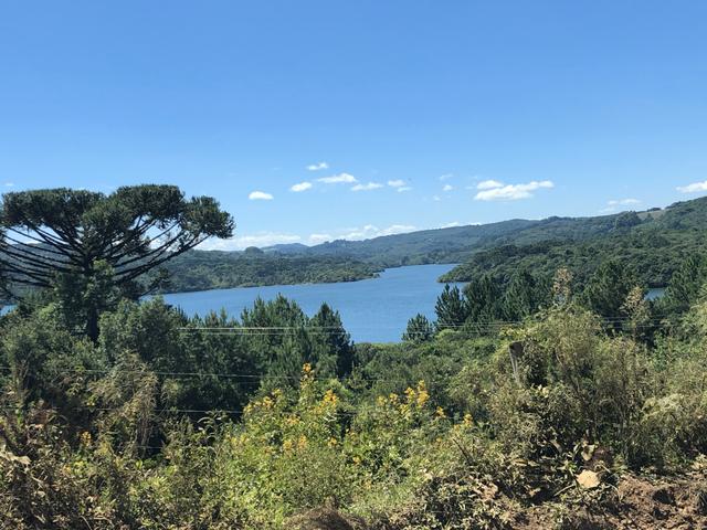 Terreno em Ana Rech - Foto 5