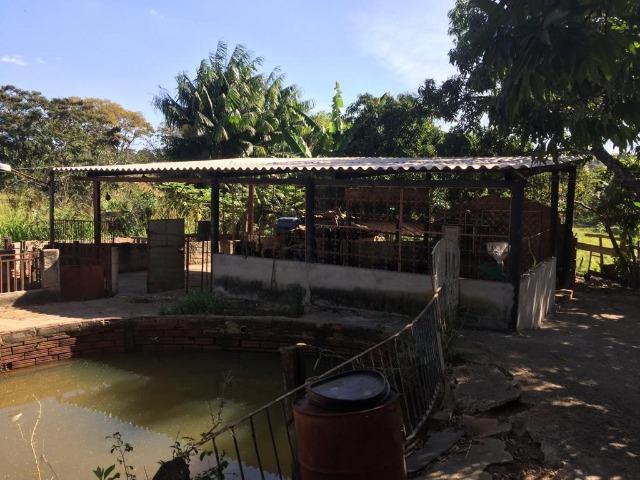 Chácara Setor Eli Forte - Goiânia-Oportunidade - Foto 15