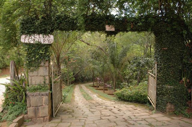 Sitio à venda, 80.000 m² por R$ 2.500.000 Fischer - Teresópolis/RJ