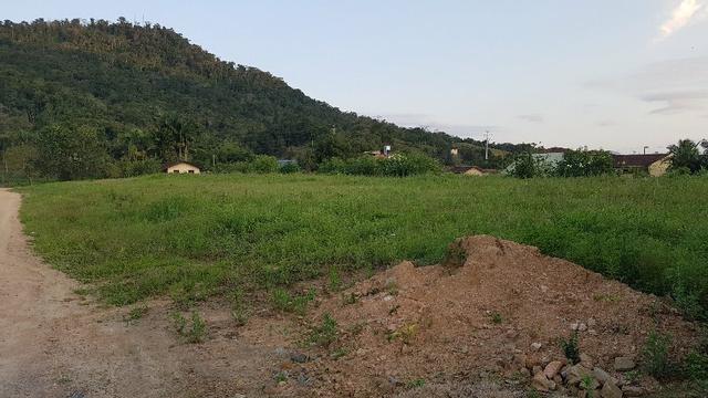 Alugo Terreno Comercial Barra - Jaraguá do Sul - Foto 2