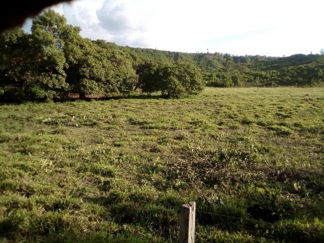 Vendo uma fazenda. chama zap * - Foto 2
