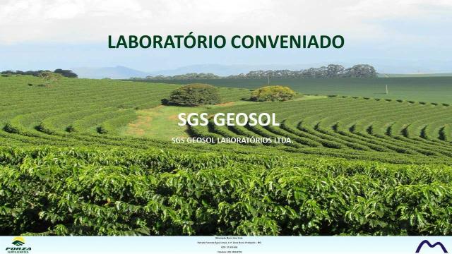 Adubo fertilizante - Foto 3