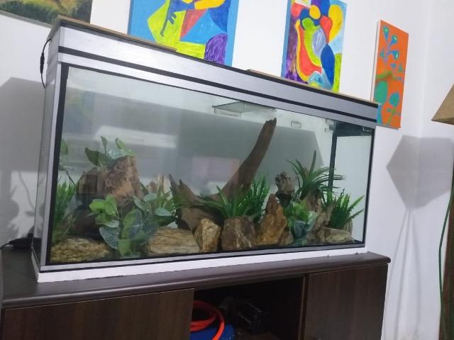 Aquário projetado por um Decorador - Foto 3
