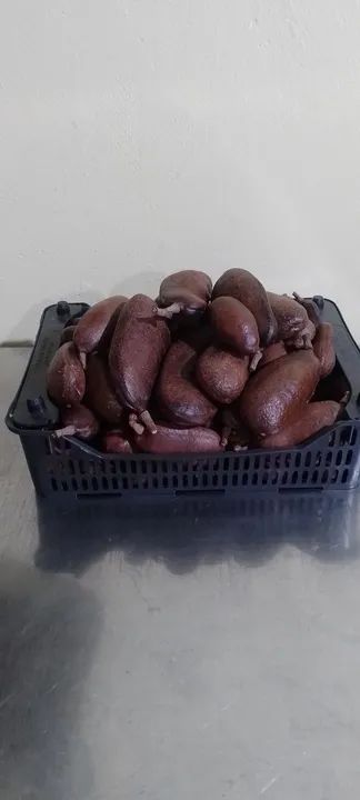 Jatobá da Amazônia fruto