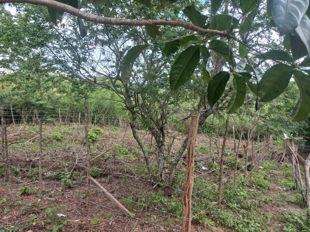 Terreno com 528 m² (16x33) no Bairro das Nações - Foto 5