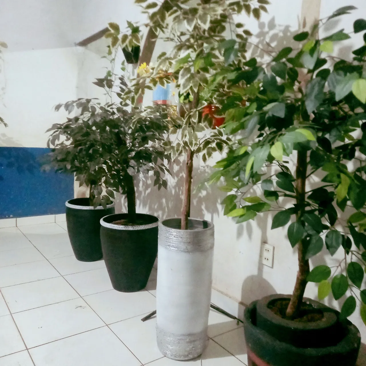 Vende-se Jarros Com Plantas Artificiais