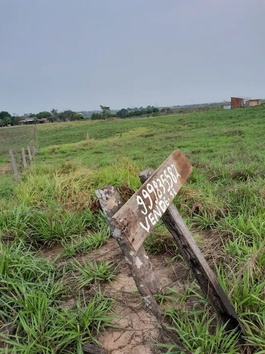 foto - Rio Branco - Bosque