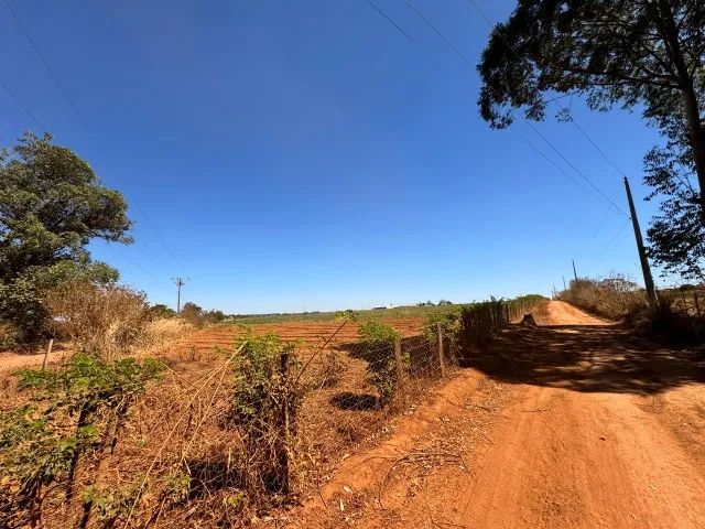 Vendo chácara com plantação - Foto 3