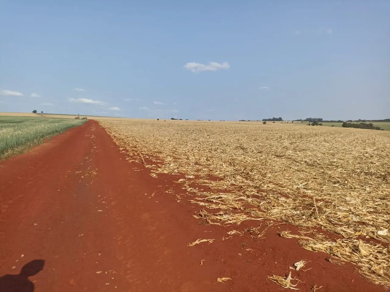 Fazenda 78 alqueiro  - Foto 4