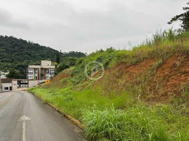 Lindo Terreno no Amizade