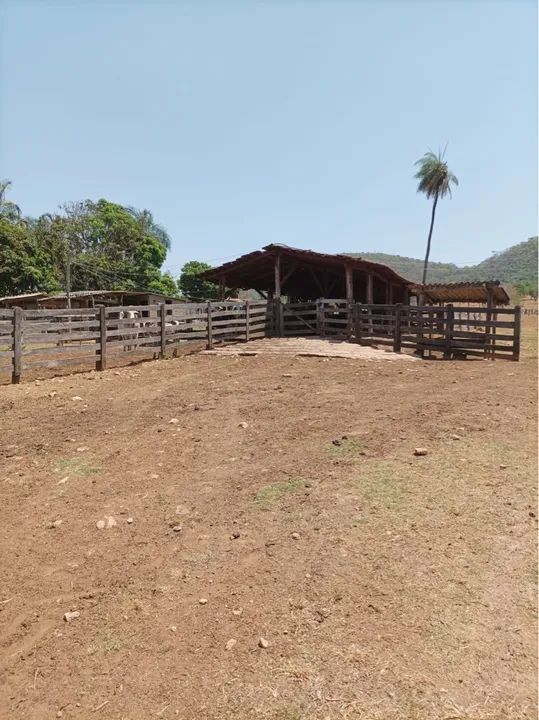Fazenda de 24 alqueires Santa Rosa-GO - Foto 3