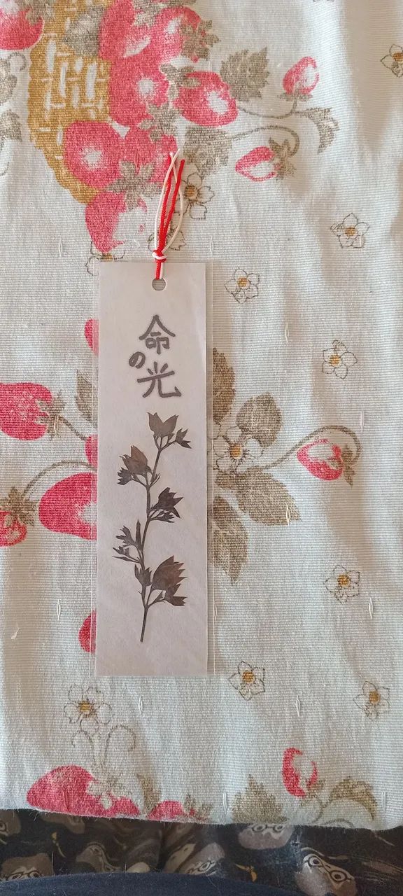 Marcador de página com flor prensada