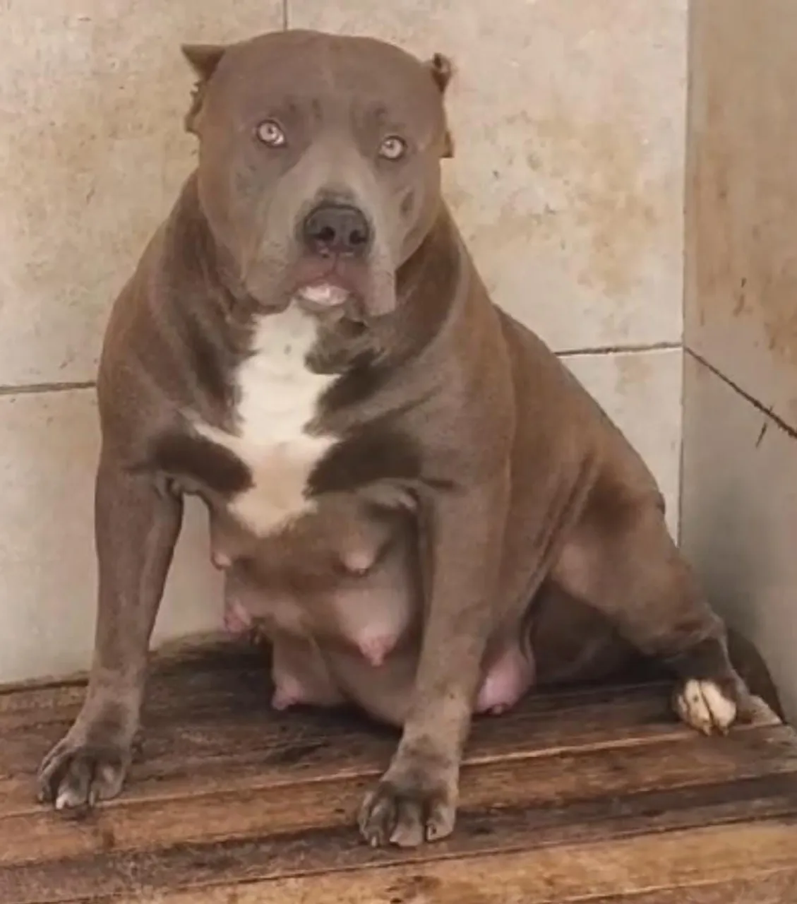 Pit monster