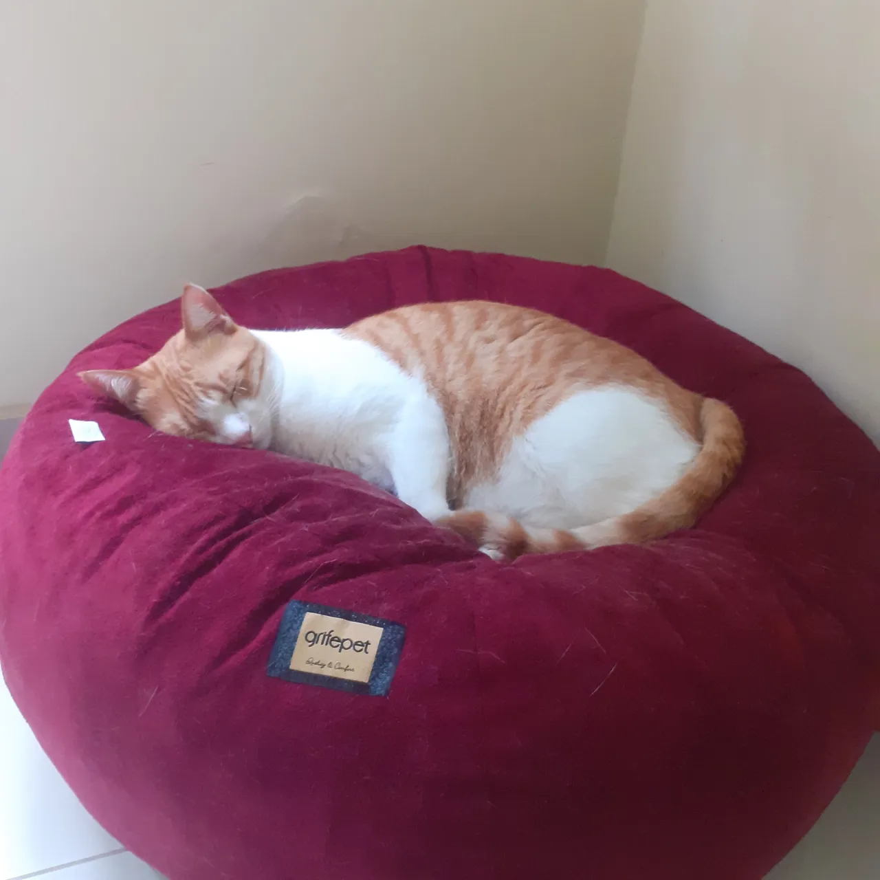 Puff Cama SEMI NOVO
