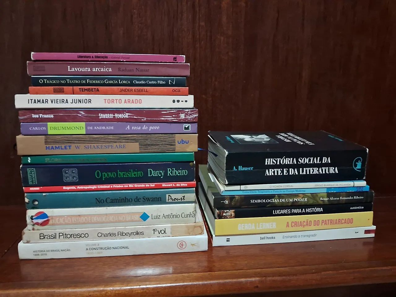 Pacote de livros de várias áreas 