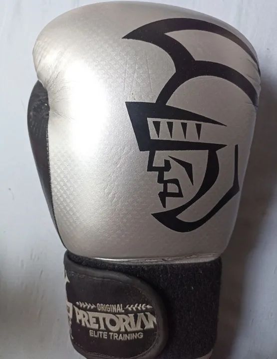 Luvas de Boxe Muay Thai Pretorian - Foto 2