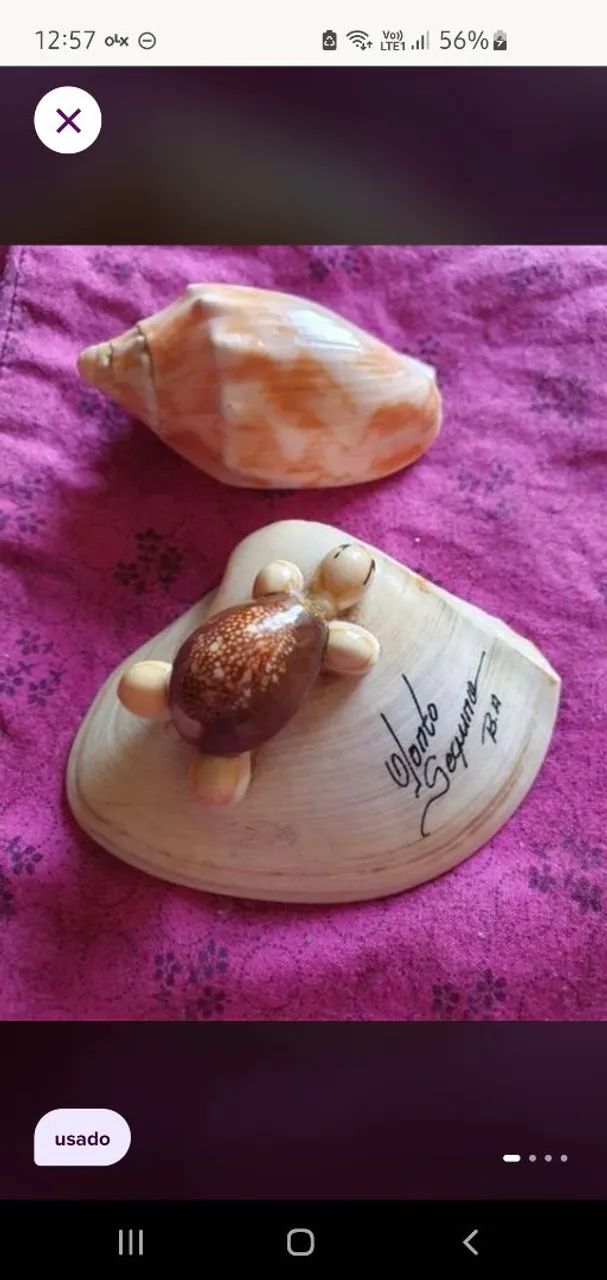 Kit conchas