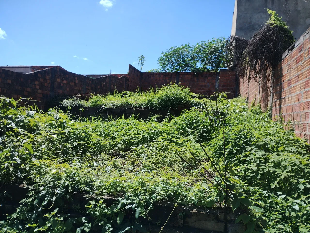 TERRENO PARA VENDER