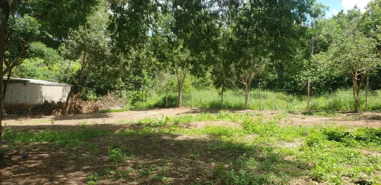 Sítio em MG 432 KM 15.7 - Caracóis de Baixo - Esmeraldas/MG - Foto 5