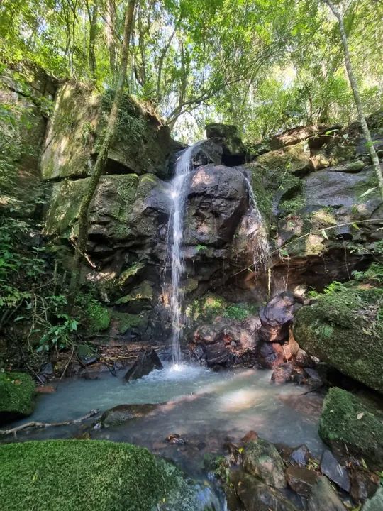 Casa com 26,5 ha - divisa de São Francisco com Rolante  - Foto 4