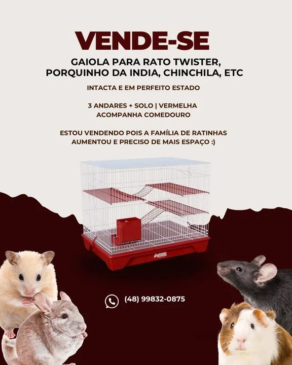 Gaiola para Rato Twister, Porquinho da Índia, etc  - Foto 2