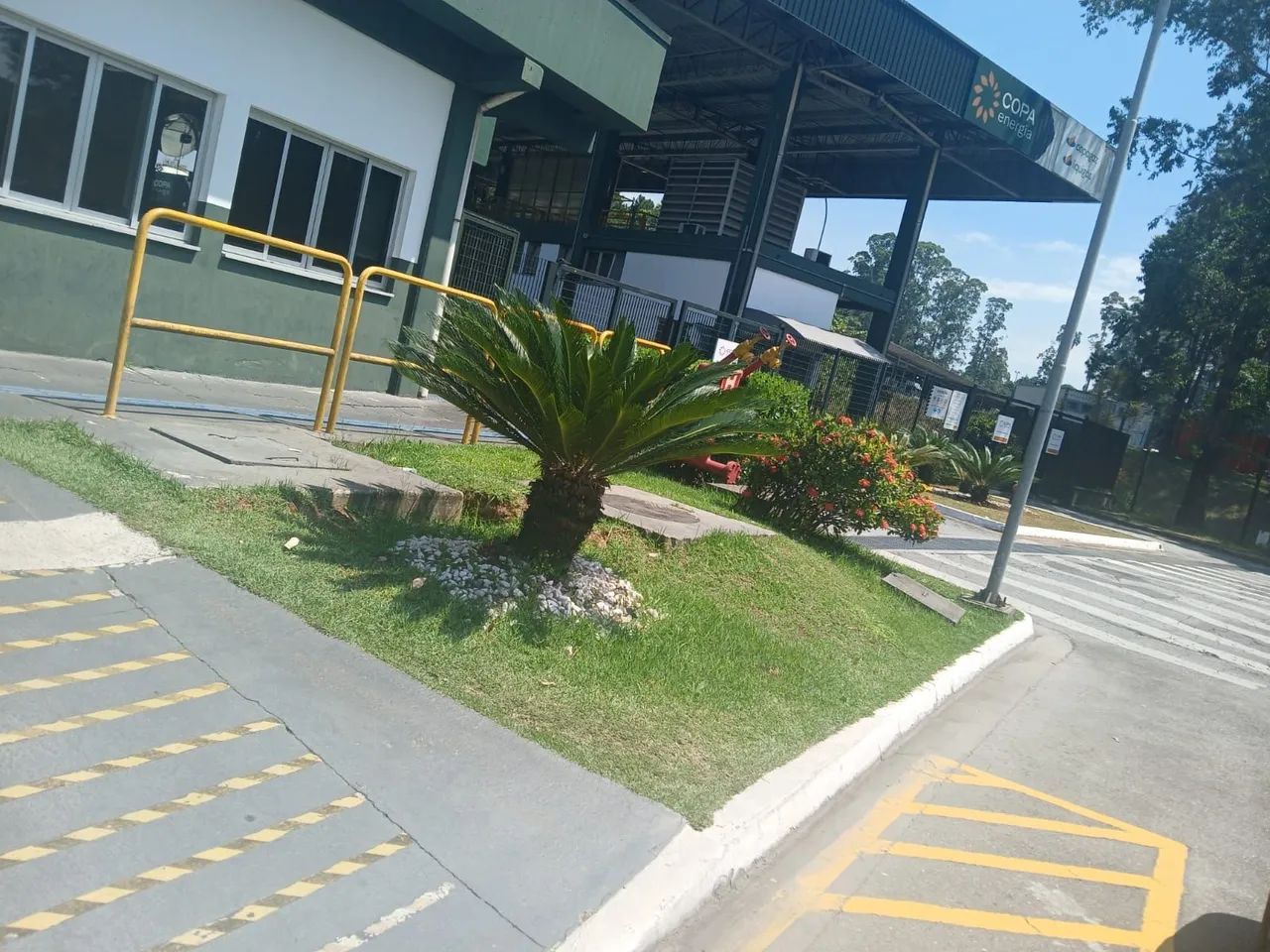 Jardim com grama e plantas - Foto 3
