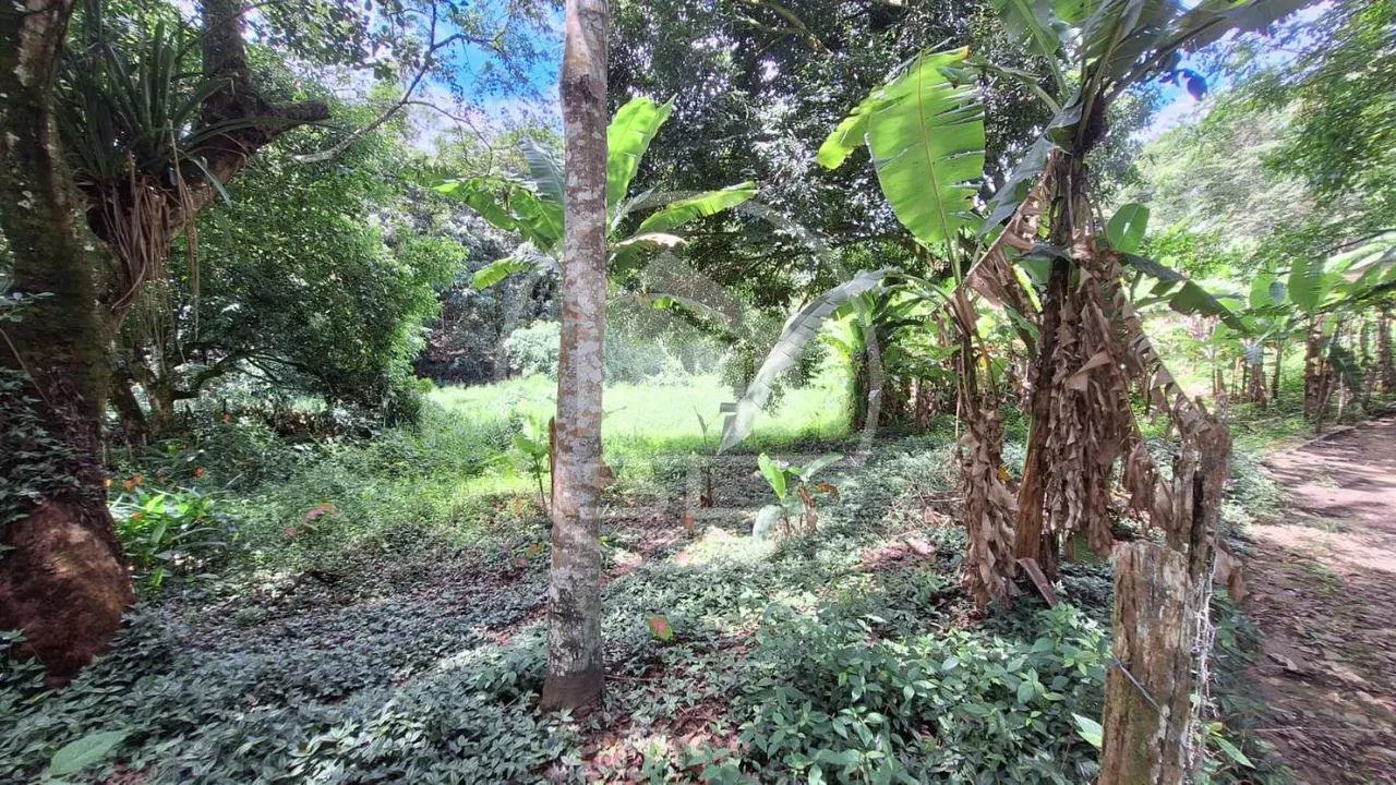 Sítio para Venda em Mulungu, Piaba, 4 dormitórios, 3 suítes, 4 banheiros, 20 vagas - Foto 5