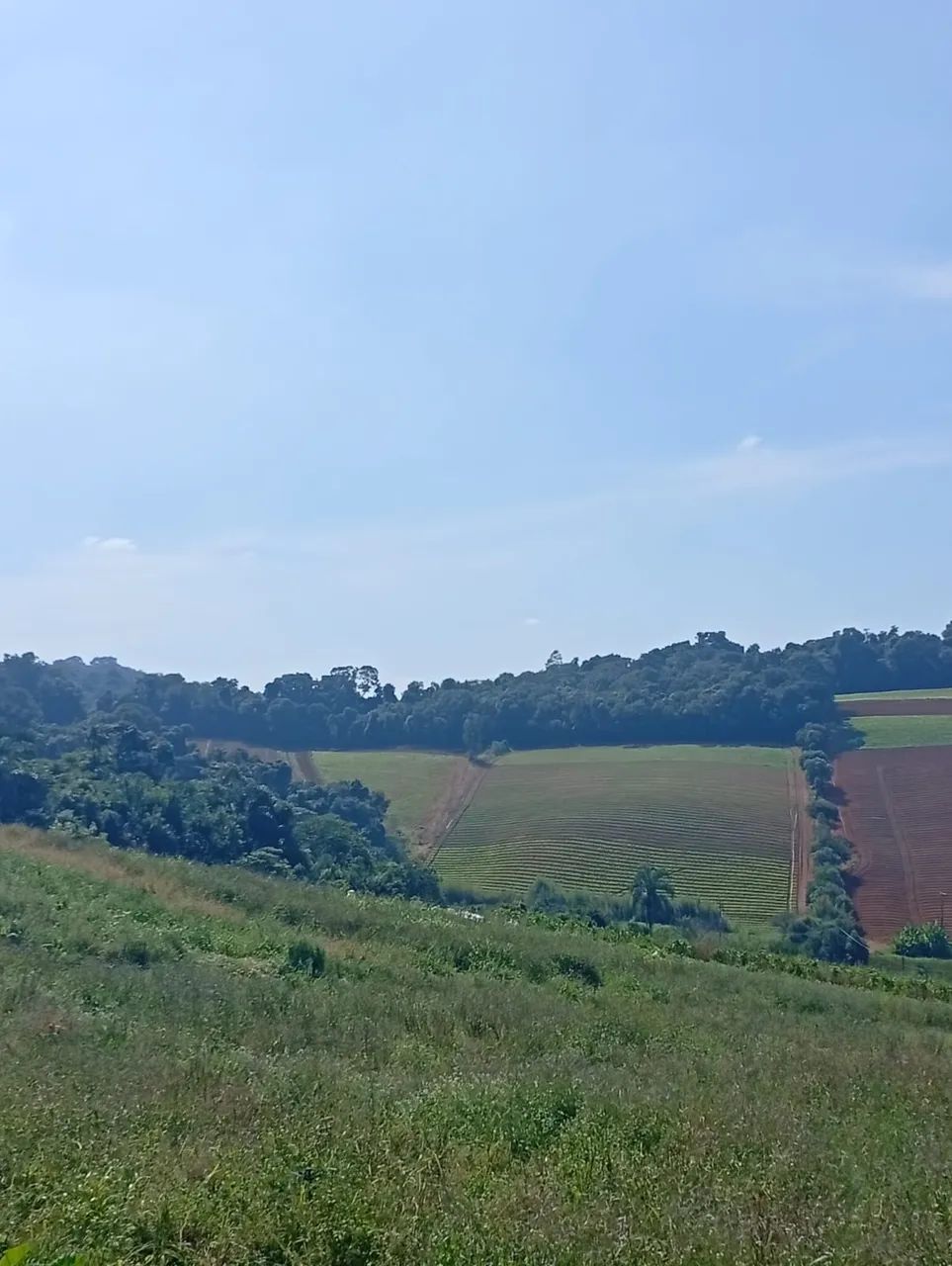 "Seu Futuro Começa Neste Lote de 500m²" - Foto 2