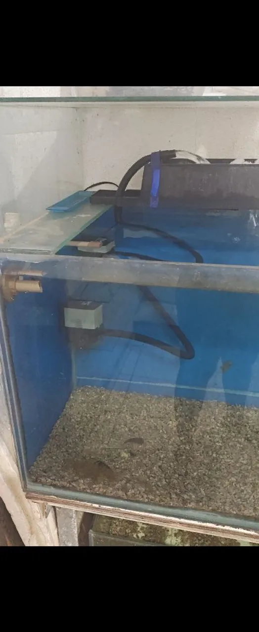 Aquário de vidro